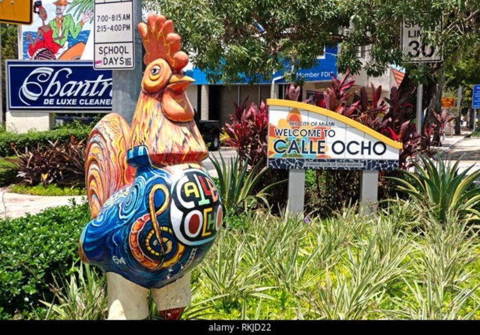 Intimate Casita Mia Minutes Away From Airport, Calle 8, Brickell, Coral Gables, The Beach And More! Miami Exteriér fotografie
